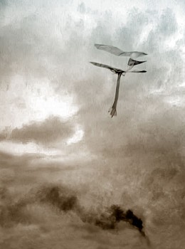 smoke and wings